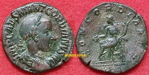 �S���f�B�A�k�X3�� 239�N �j�[�X �Z�X�e���e�B�E�X ���[�}�B�d��16.09�O�����B���a30mm�B�R���R���f�B�A�c