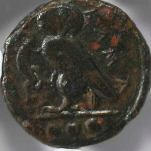 �V�`���A���A�J�}���i AE �e�g���X �M���V�����t�N���E�R�C�� �I���O420-405�N - NGC F