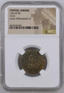 NGC AE23 �~�g���_�e�X6�� �I���O85-65�N �Ñ���� - �|���g�D�X�E�A�~�\�X�E�S���S��