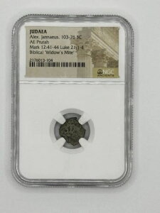 NGC�F��E�B�h�E�Y�E�}�C�g�F���_���̃v���^�i�I���O103-76�N�j�����R�C��