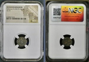�Ñ�M���V���̃Z���E�R�X���Z���E�R�X3���I���O226-222�N NGC�F��A�|������