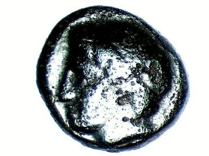 �t�B���b�v2���i�I���O359-336�N�j�B�}�P�h�j�A�̃A�|��/�R��i18.25MM-5.73G�j#230