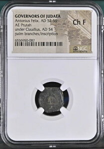 �A���g�j�E�X�E�t�F���b�N�X�E���_���Ñ� NGC Ch F ? �v���^ ���� 52-59 �N���E�f�B�E�X�̎x���̎���