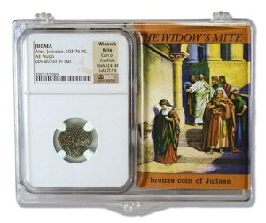 �E�B�h�E�Y�}�C�g NGC �F�� * ���σO���[�h * ���_���̃v���^ 103-76 BC ���ƕi���ؖ����t��