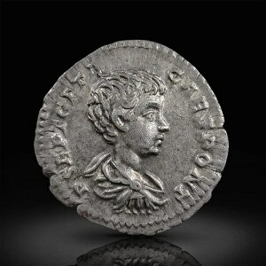 ���[�}�鍑�B���� �f�i���E�X - VICTORIA AETERNA - (19mm, 3.24g)-