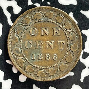 1886�N�J�i�_��^�Z���g ���b�g#T7250 �f���炵��!