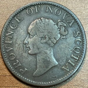 �J�i�_�A���n - �m�o�X�R�V�A NS-1F1 1843 �n�[�t�y�j�[�g�[�N�� (Co.303)