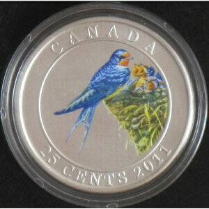 2011�N�J�i�_25�Z���g - �c�o�� - �J���[�R�C�� - �Z�[��