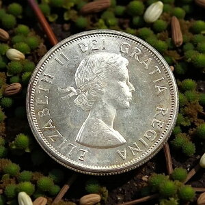 カナダ 銀貨 エリザベス2世」の人気商品一覧 | 安い商品を通販サイト 