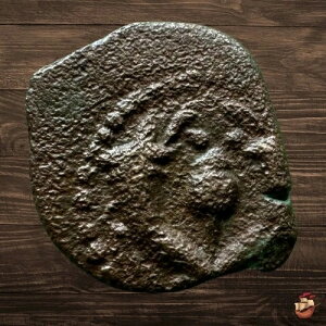 JUDAEA �R�C�� - �v���^ - �n�X������ - ���n�l �q���J�m�X 1 �� (�I���O 135 �` 104 �N) #t579