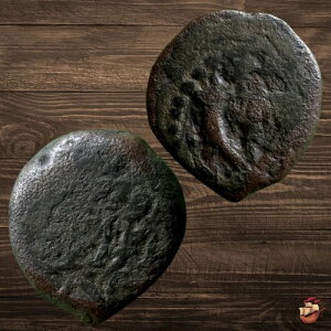 JUDAEA �R�C�� - �v���^ - �n�X������ - ���n�l �q���J�m�X 1 �� (�I���O 135 �` 104 �N) #t539