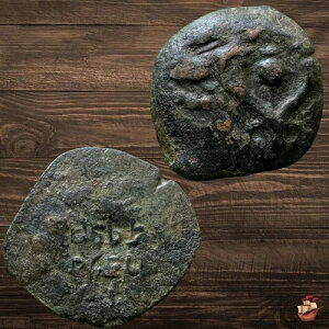 JUDAEA �R�C�� - �v���^ - �n�X������ - ���n�l �q���J�m�X 1 �� (�I���O 135 �` 104 �N) #t835