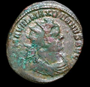 �}�N�V�~�A�k�X�AAD 286-310�AAE �A���g�j�j�A�k�X�A(a1681)-