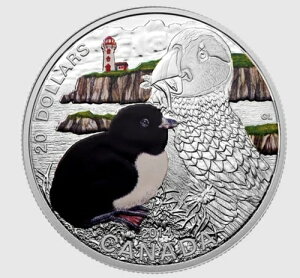 2016�N 20�h�� �Ԃ���񓮕��F�A�g�����e�B�b�N�E�p�t�B�� - ����� �J�i�_