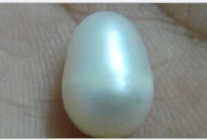 ����ȓV�R13.6x9.3mm�̖{���̃z���C�g���[�X�p�[���ƃX�^�[�����O�`�F�[�����t��