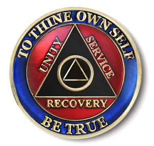 YR���C�����_�u��C/T AA -12�X�e�b�v���J�o���[�v���O�����G�i�����R�C��/���_���I��/�`�b�v