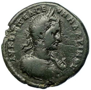 MACRINUS �j�R�|���X �A�h �C�X�g���� ���g�A�O���b�p �T�[�y���g �O�r���[�} �R�C�� i105585