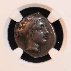 �J���p�j�A�B�A�l�A�|���X�Y��f�B�h���N�}�i�I���O330�N�`270�N�j - NGC VF�I�f���炵���\�ʁI