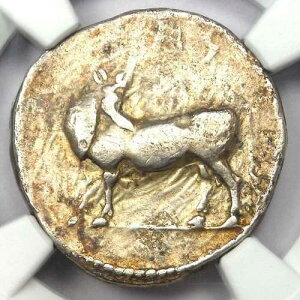 �M���V���E���J�j�A�E���E�XAR�X�^�e���l���Y���ݕ��i�I���O480-460�N�j - NGC VF�F��