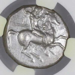 �^�����g�D�� AR �m���X �h���N�} �Ñ�J���u���A �V���o�[ �h���t�B�� �I���O290-281�N NGC VF
