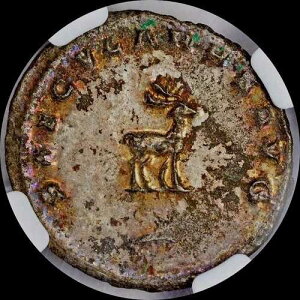 �u�܂�Ɍ�����vNGC MS AD253 ���[�}�鍑�K���G�k�X �_�u���f�i���E�X�uT-STAG�v�g�[��