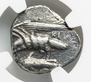SINOPE - �p�t���S�j�A �j���t �C�[�O�� �h���s�� NGC �Ñ�M���V�� �h���N�} ��� 622