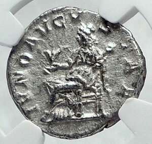 JULIA MAMAEA �{�� �Ñ� 231�N ���[�} ��� JUNO NGC i81404