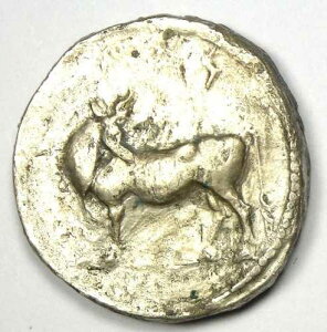 �M���V���E���J�j�A�E���E�XAR�X�^�e���l���Y���ݕ��i�I���O480-460�N�j - NGC VF�F��