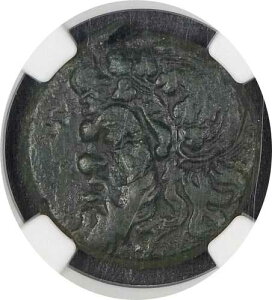 �{�X�|���X�C�� NGC VF 5/5 3/5 �p���e�B�J�p�C�I�� - NGC VF 5/5 3/5 - AE 13.48g 340-325 - 028