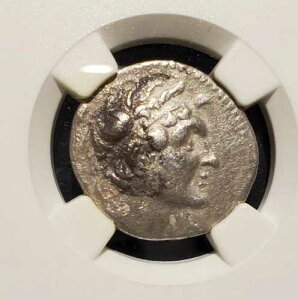 NGC�F�� ���ɗǍD�ȏ�� �v�g���}�C�I�X6�� �I���O180-145�N AR �h���N�} 109�N (�I���O154/3�N)