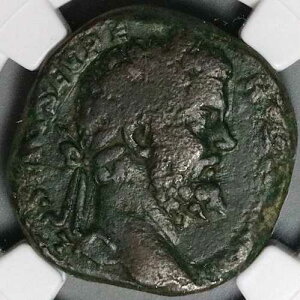 194 NGC VG �Z�v�e�B�~�E�X �Z�E�F���X �Z�X�e���e�B�E�X ���A �w���N���X �o�b�J�X �j�W�F�[�� (23110801C)