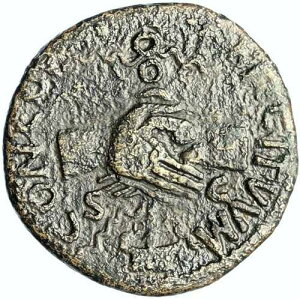 NERVA 97�N �{�� �Ñネ�[�} �f���|���f�B�E�X �R�C�� SC �C�[�O�� i100491