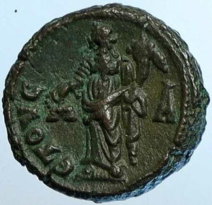 �^�L�g�D�X �A���N�T���h���A �G�W�v�g �Ñネ�[�}�R�C�� DIKAIOSYNE SCALES i108509