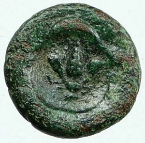 EPESUS �G�t�F�\�X IONIA 50BC-100AD �Ñ�A���e�B�[�N �M���V�� �R�C�� APOLLO & BEE i116100