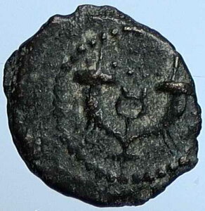 �w���f1�� ���_���� �����G���T�����R�C�� �d �w���f�B�� 1188 i110265
