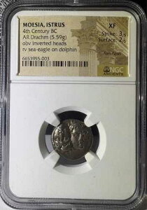 ���G�V�A�E�C�X�g���X �I���O4���I AR �h���N�} NGC XF 3/5 2/5 (003)