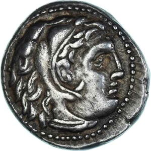 [#1172748] �R�C���A�t�B���b�v3���A�h���N�}�A�I���O323-317�N�A�}�O�l�V�A�AXF�A��A���i:P6-