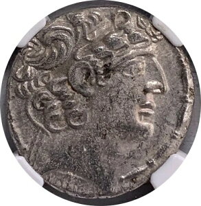 �Z���E�R�X�� - �K�C�E�X�E�J�b�V�E�X�E�����M�k�X�i���j - NGC Ch XF AR �e�g���h���N�} 130