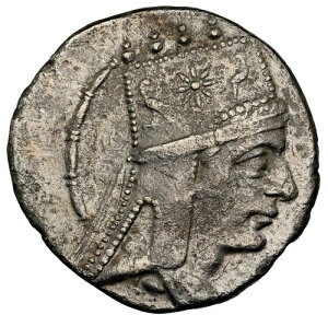 NGC�`���C�XXF�i�I���O95-56�N�j�A�����j�A�̃e�B�O���l�X�剤�̃e�g���h���N�}���