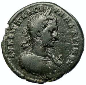 MACRINUS �j�R�|���X �A�h �C�X�g���� ���g�A�O���b�p �T�[�y���g �O�r���[�} �R�C�� i105585