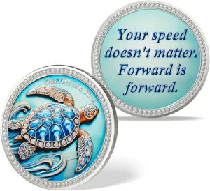Turtle Sobriety Coin - One Day at a Time AA/NA ���J�o���[�`�b�v���_���I�� - �A�t�B�[�}-