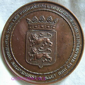 MED10196 - �m���}���f�B�[�_�ƌ|�p�Y�Ɛi���M��