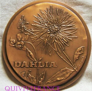 MED11118 - DAHLIA ���_���iDAVID ��j �ԍ� 53/100
