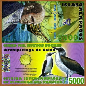 �K���p�S�X���� 5000 (5,000) �X�N�� 2011�A�|���}�[ UNC �_�[�E�B��