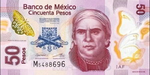 ���L�V�R�|���}�[���� 50�y�\ 2019�N �����ʎ����B50���L�V�R�y�\����