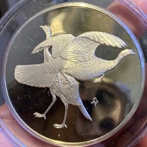 ���C���h�^�[�L�[�o�[�h �r�b�O�v���[�t�X�^�[�����O�V���o�[���_�� 1974 66g 2.1�I���X