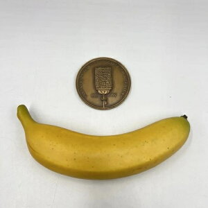 1958�N �r�V���b�v�E�i�V���i���E�o���N�E�I�u�E�n���C 100���N�L�O 100�u�����Y���_�� ���_���b�N�A�[�g��