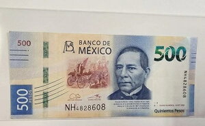 ���L�V�R 500 �y�\ �r���b�g BENITO JUAREZ 2022 - �����V���[�Y NH4828608