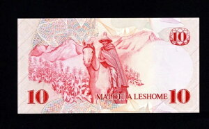 ���\�g 10 �}���e�B 1981* P-6 * ���V���G�V���G 2 ���� * UNC *