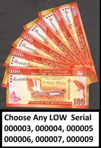 �X�������J 100���s�[ 2015 �V���A��000003�`000007 �s�b�N125b UNC